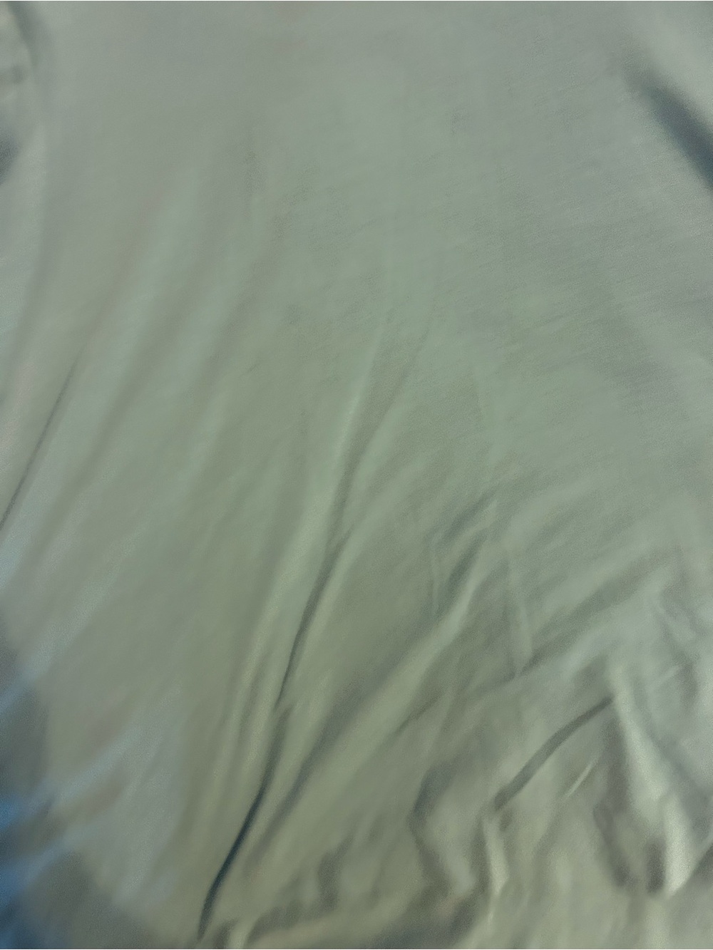 Tahari Light Sage Green Crew Neck Tee